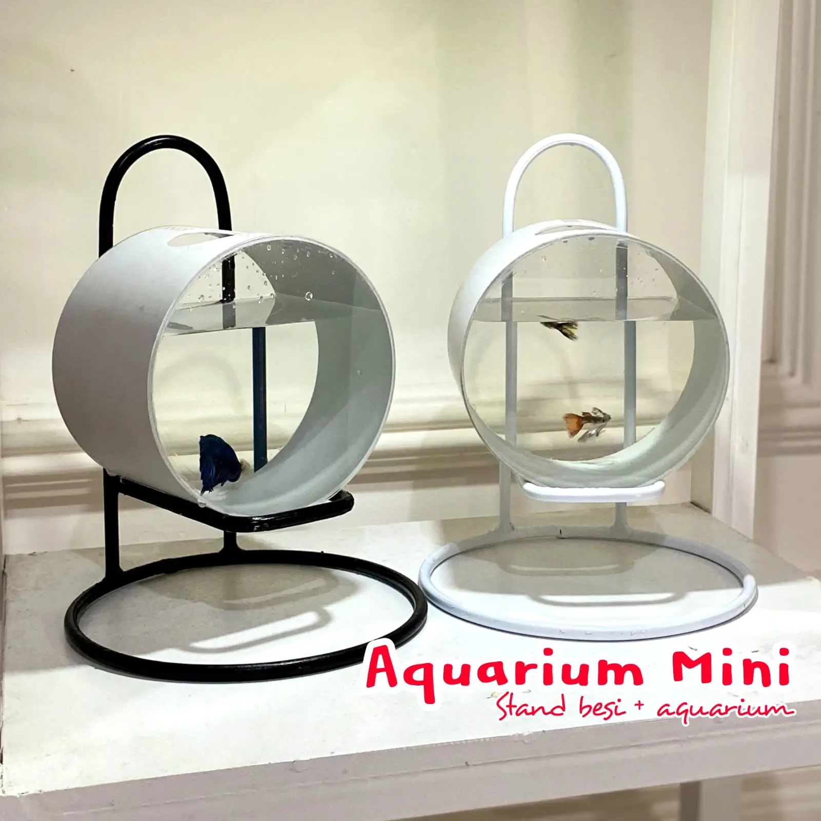 Aquarium Mini Stand Besi Plus Aquarium Mini Diameter 6,5mm Bahan Beton Diameter 11,4cm Lebar 8cm Cocok untuk Ikan Kecil dan Hiasan Meja Kantor