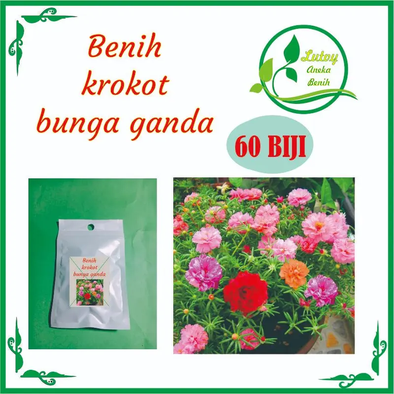 BENIH KROKOT BUNGA GANDA ISI 60 BIJI -Rosebunga 1