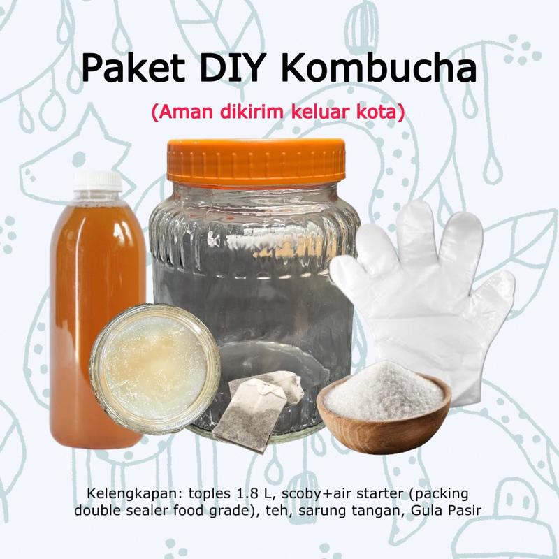 Paket DIY Kombucha Lengkap ms.kombucha 0