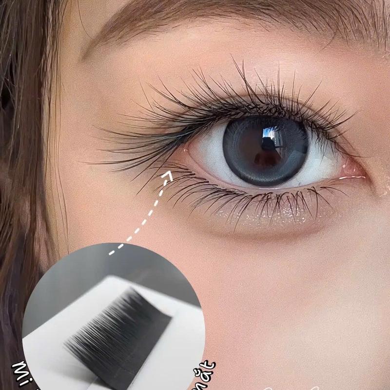 Mi cong gãy Li LVC L Trung Hoa cao cấp Mỹ Phẩm Trang Điểm Cosmetic