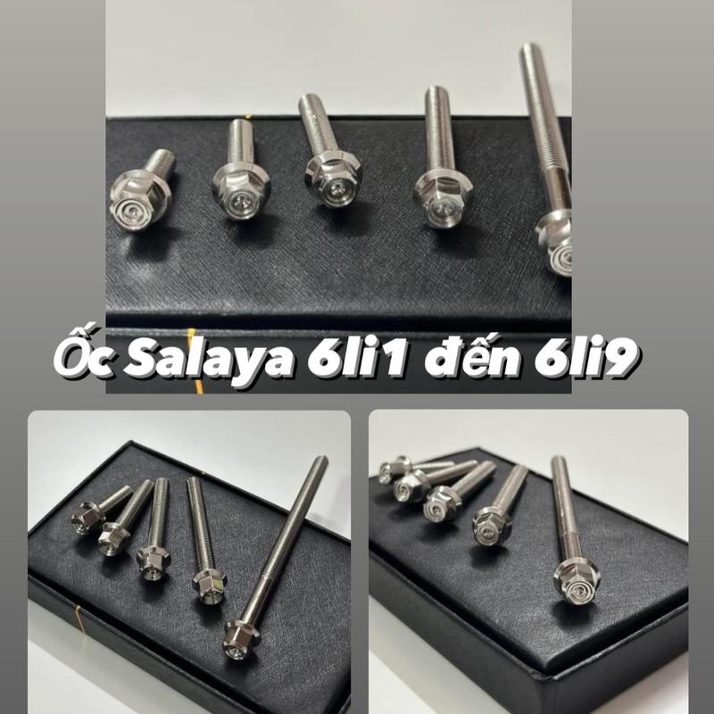 Ốc 6li dạng trụ 6li1 đến 6li9 SALAYA inox 304