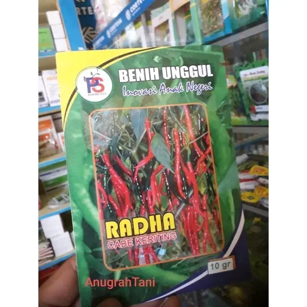 Cabe RADHA 10 Gram - Benih Cabe Merah Keriting RADHA - CMK RADHA ...