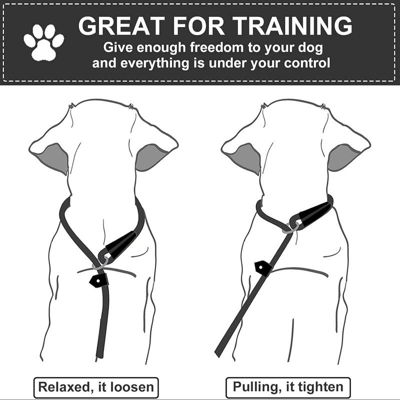 Nylon Dog Leash, Pet Lead With Buckle, Adjustable Pet Walking Leash for Dogs & Cats 5