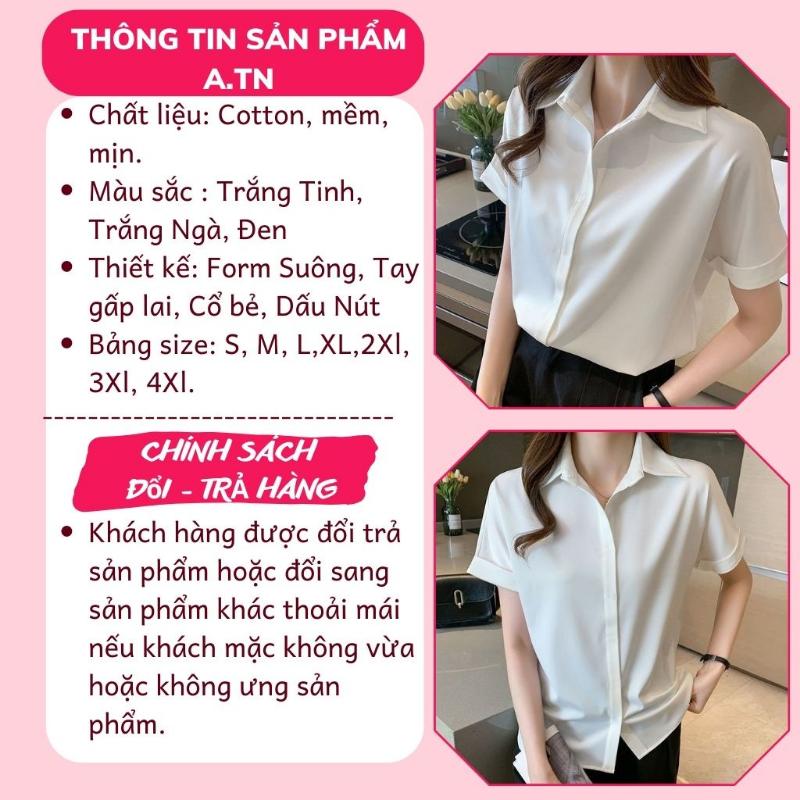 Product Introduction of Áo Sơ Mi Trắng Tay Ngắn Nữ Rymola, SơMi Ngắn Tay,Thời trang Công Sở, Somi Trắng Bigsize, Chất Vải Cotton Không Nhăn 38