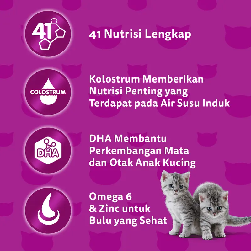 Whiskas Makanan Kucing Kering Junior 1.1 kg dry  food 2