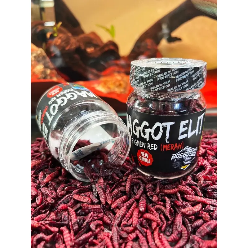 MAGGOT ELIT, UDANG ELIT, MAGGOT RED BOS BOS QU ORIGINAL 1