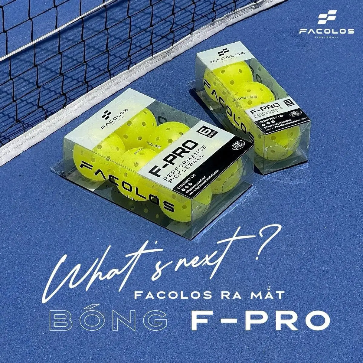 Hộp 6 bóng Pickleball Facolos F-Pro Performance tiêu chuẩn (USAPA) 40 lỗ đường kính 76mm - Đồng, Sport