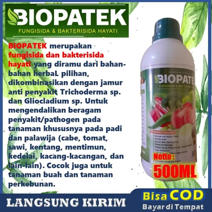 (TERBARU)BIOPATEK 500ml Fungisida Atasi KUNING KERDIL PADI-obat virus kerdil padi-obat padi kerdil dan kuning-Pengendalian hama dan penyakit padi 2