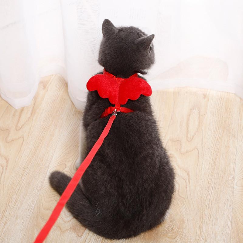 Product Introduction of Pet Cat Traction Rope Angel Wings Rabbit Rope Retractable and Adjustable Length 13