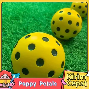 Bola Pickleball Hollow 74mm Ringan dan Awet Cocok untuk Latihan dan Pertandingan Indoor Outdoor