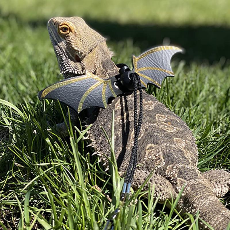 Product Introduction of Bearded Dragon Leash and Harness 3pcs Vest Adjustable Reptile Walking Leashes 51
