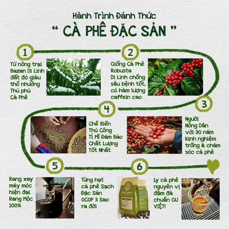 [GU CÁ TÍNH] Cà phê Sạch Nguyên Chất Blend Robusta Arabica Culi theo yêu cầu 6Thọ Coffee Cà Phê 1