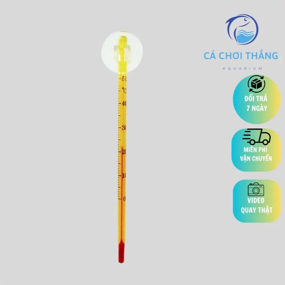 Nhiệt kế thuỷ ngân - Hỗ trợ kiểm tra chính xác nhiệt độ bể cá