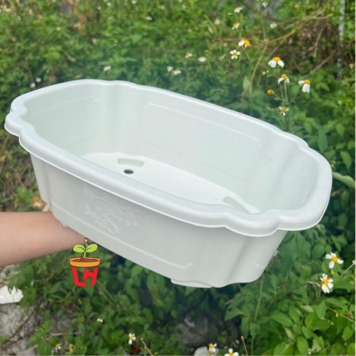 Chậu nhựa trồng cây (Chậu bonsai), Chậu Ang bon sai chữ nhật cao cấp, dày dặn