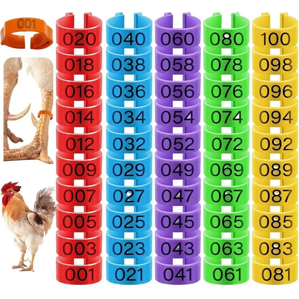 100pcs Durable Portable Poultry Leg Tags Mixed Colour 16/20mm Band Foot Ring 5 Colors with Number Letter Chicken Leg Bands Rings Poultry Accessories
