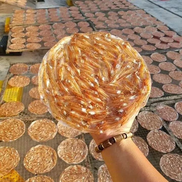 bánh tráng cá cơm Tự nhiên Tự nhiên