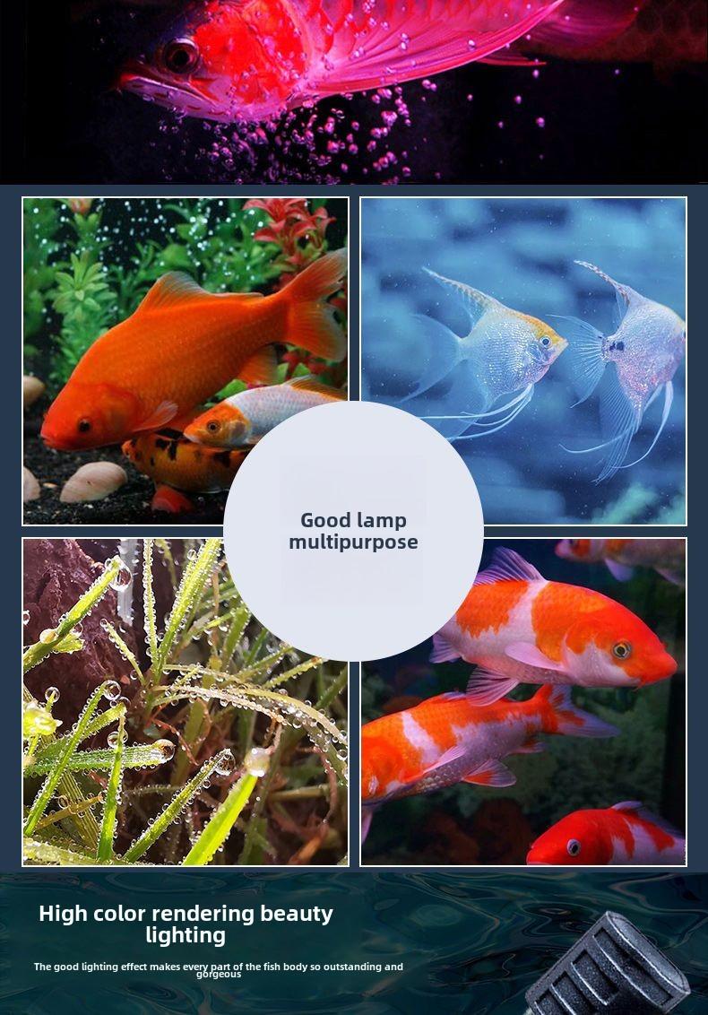 Product Introduction of Fish Tank Light LED Waterproof Lighting Aquarium Submersible Dragon Fish Light Super Bright Color Enhancing Small Tri-Color Fish Tank Light 18