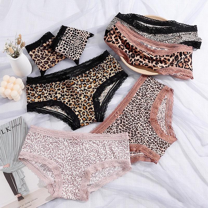 QL03 - Set 5c Quần Lót Nữ  Thun Lạnh Hoạ Tiết Da Beo, Da Báo Phối Viền Ren Cao Cấp Women
