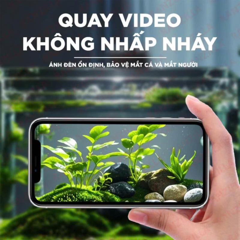 Đèn Led JY-S3 Plus+ - Đỏ Cá Không Đỏ Nước - Nhà Jingye - 18W 3
