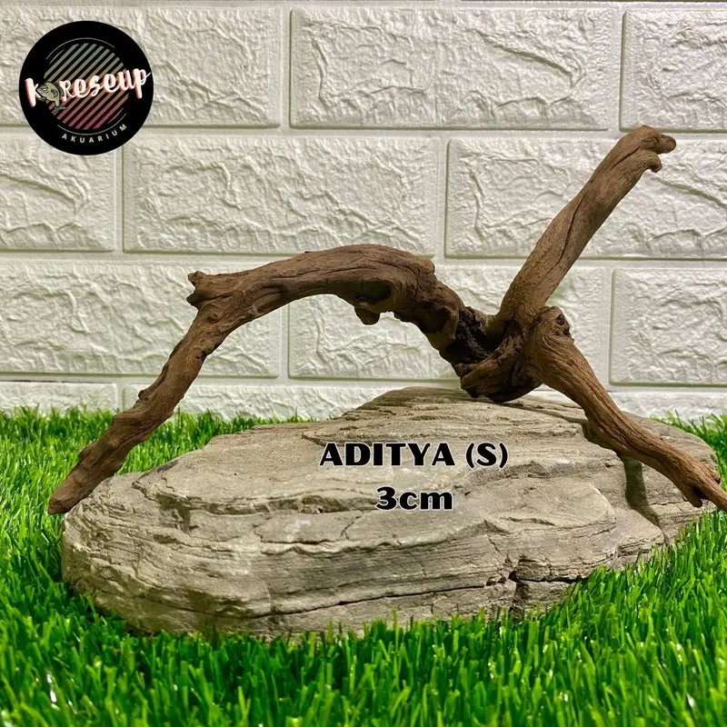 AKAR AQUASCAPE SANTIGI LAUT TENGGELAM RANDOM (size SS) untuk hiasan Aquarium 30cm 4