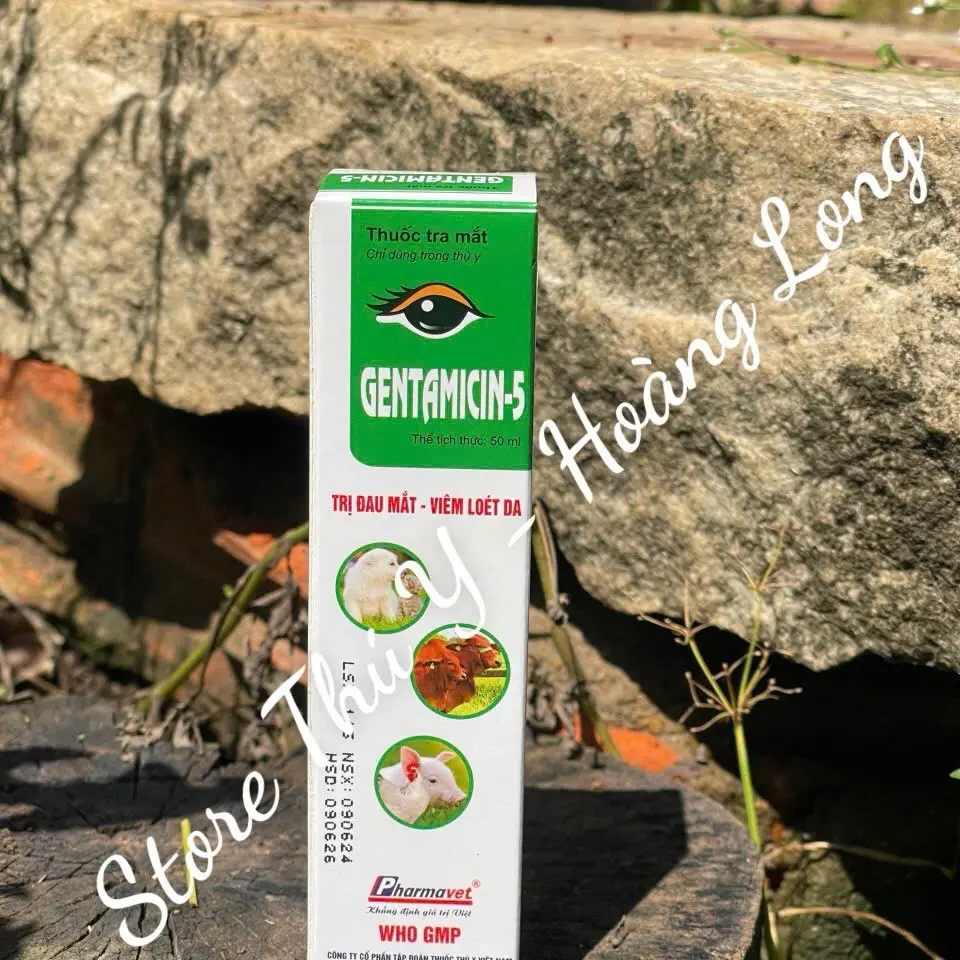 GENTAMYCIN-hỗ trợ đau mắt,viêm loét da, viêm tai