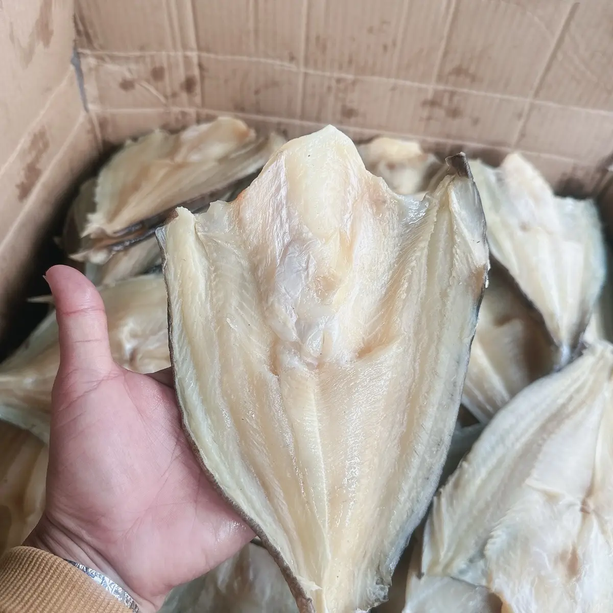 Khô cá dứa bướm ko xương hàng hai nắng vị Lạt vừa ăn được đóng gói (0,5-1kg)(ko gửi miền bắc)