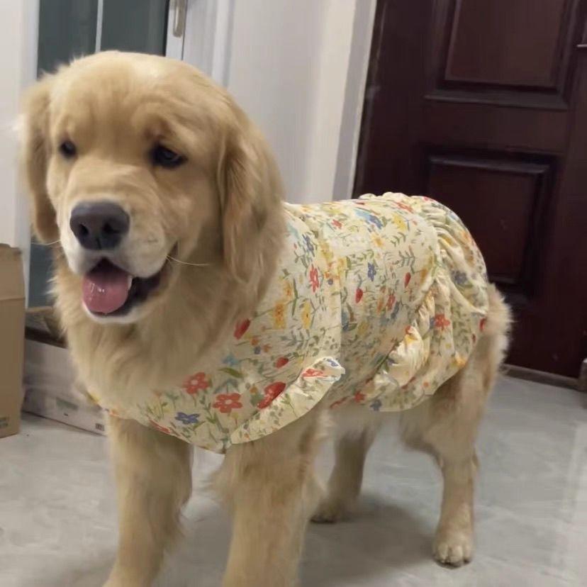 Golden Retriever Puppy Dress With Labradors COD) Large Dog Princess Dress  Summer Thin Style Golden Retriever