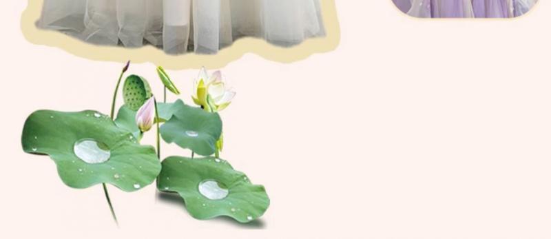 Product Introduction of Váy Trang Phục Trung Quốc Phong Cách Hanfu, Cô Gái Hoa Thần, Siêu Thanh Lịch, Váy Áo Khoác Và Váy Trẻ Em Phong Cách Cổ Trang Thích Hợp Cho Mùa Hè, Mỏng, Cho Bé Gái 5