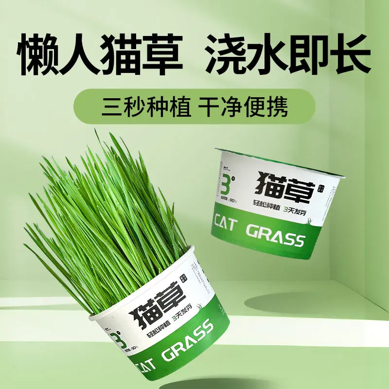 New Lazy Cat Grass Canned Hydroponic Soilless Hairball Relief Digestion Snack Instant Noodle Cat Grass Potted Plant