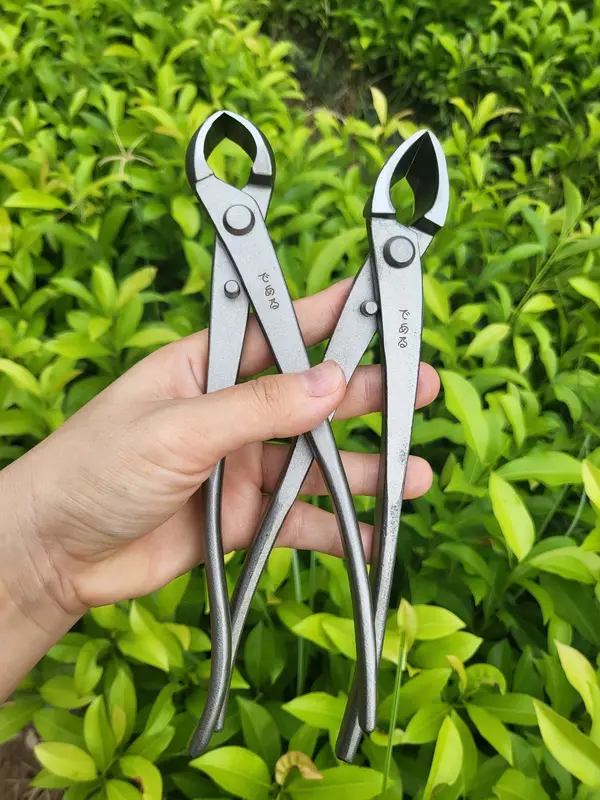 Cạp tròn, Cạp Xéo, Cạp Bonsai Nhật Bản - Dụng Cụ Nông Nghiệp - Thảo Anh 2