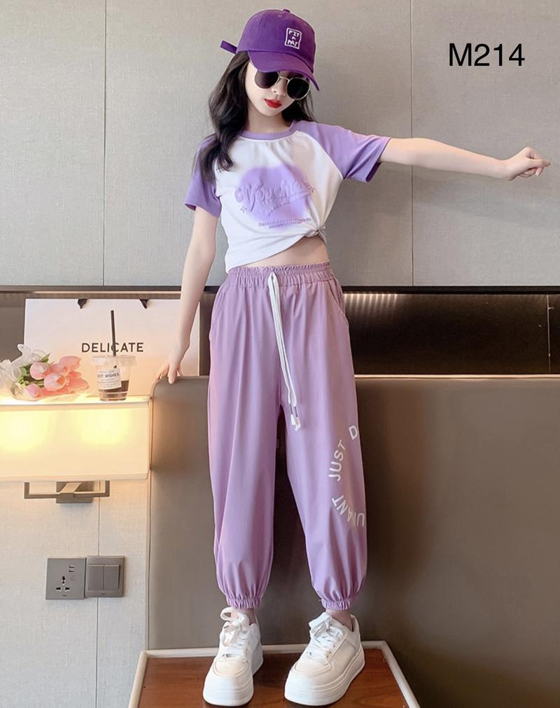 Product Introduction of Bộ quần dài kèm áo phông nhắng tay mùa hè cho bé gái 18-48kg M214 2