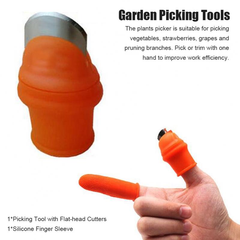 Product Introduction of Farm Vegetable Fruit Picker Pickle Pepper Pickle Tip Picker Iron Nail Pick Grape Picker for Garden Orchard and Vegetable Patch 34