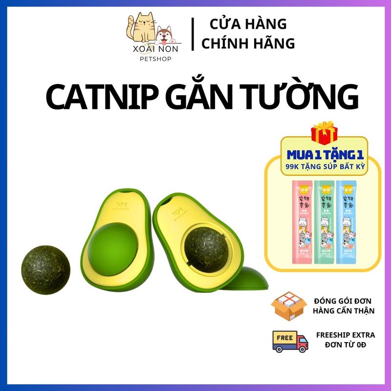  Cỏ Catnip -Cỏ Ống Cỏ Catnip gắn tường hỗ trợ tiêu hóa tiêu búi lông cho mèo 