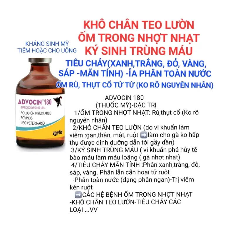 Thuốc gà mỹ-BỘĐÔI BACHBỆNH(thuốcphòngbệnh-thuốctrị bệnh),(Thuốcnhỏmiệng -thuốc pha nước) 4