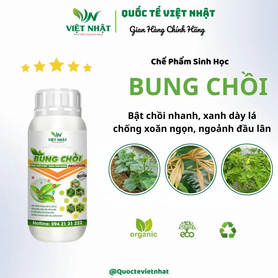 Phân bón lá BUNG CHỒI 500ml giúp cây bung chồi cực nhanh, kéo đọt cực mạnh