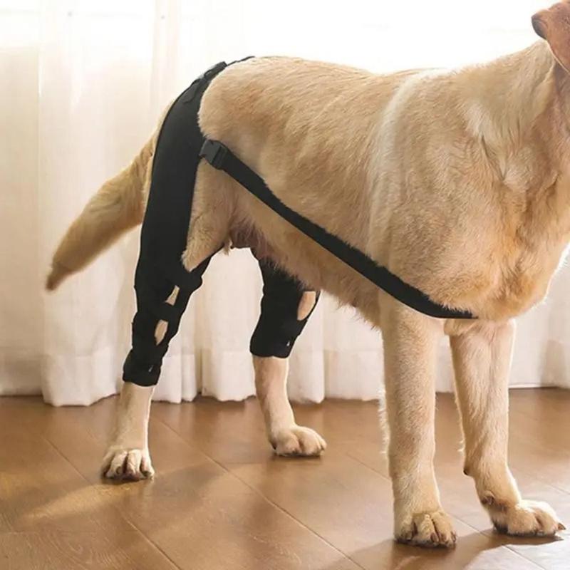Practical Joint Injury Recovery Pet Knee Pad Knee Hip Joint Protect Torn Hind Leg Legs Protector Cloth 4Size Support Belt Pet 7