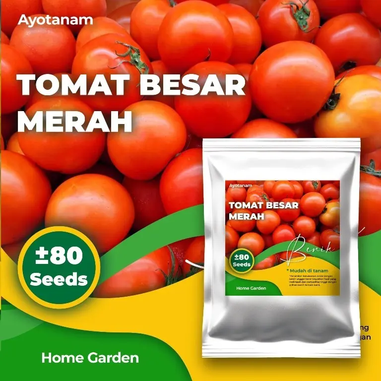 AYOTANAM Benih Tomat Besar Merah isi ± 80 Benih