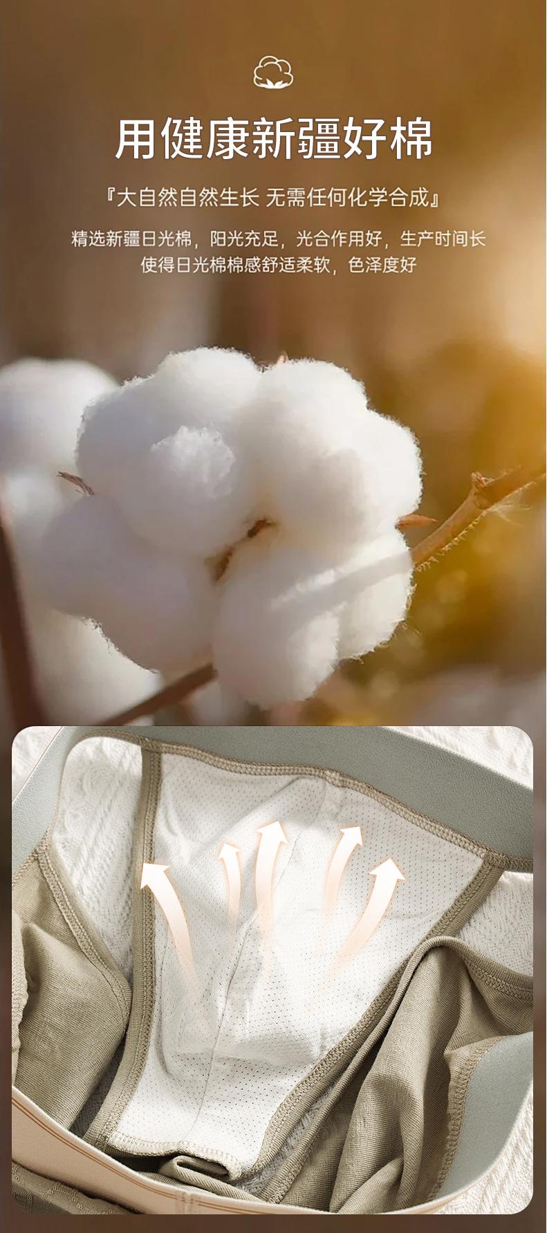 Product Introduction of Quần Sịp Nam, Quần Lót, Cotton Nguyên Chất, Kháng Khuẩn, Thoải Mái, Thoáng Khí 4