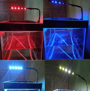 lampu aquarium/lampu cupang/Channa LED 5 mata versi capit
