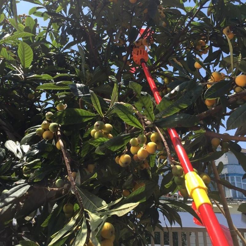 Garden Basket Fruit Picker Head Plastic Fruit Picking Tool High-altitude Fruit Picker Picking Loquat Picking Bayberry Tool 5