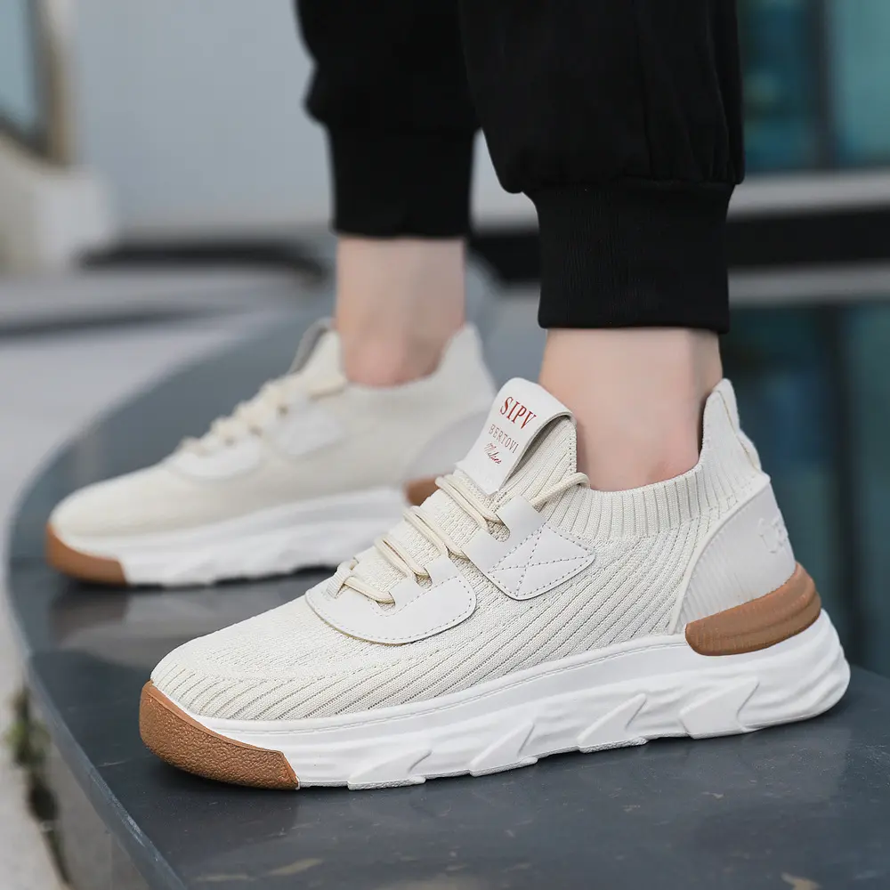 Spring New Men's Shoes Thick Sole High-Looking Comfortable Breathable Casual Shoes Mesh Low-Top Lace-up Sneaker