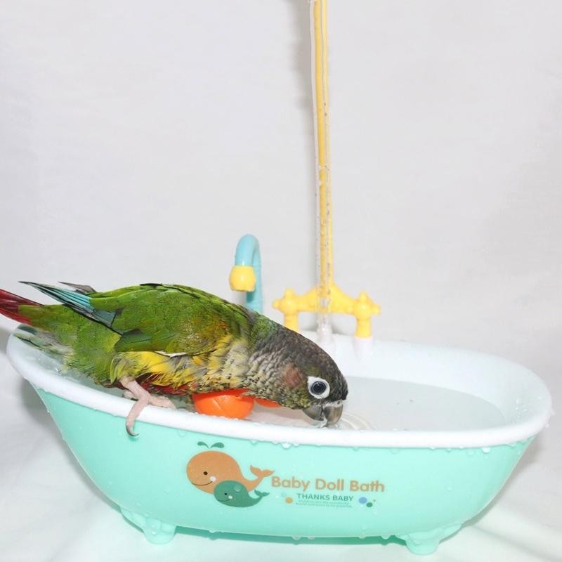 Bồn Tắm Tắm Cho Chim, Bồn Tắm Tự Động, Thích Hợp Cho Vẹt Nhỏ Và Trung Bình Và Lovebird 7