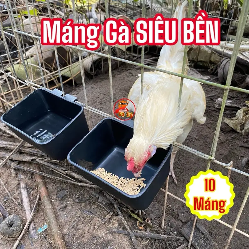 SET 10 Máng ăn cho gà chọi Siêu Bền, máng ăn uống cho gà nhựa dẽo bền bỉ, máng nhựa đen 0