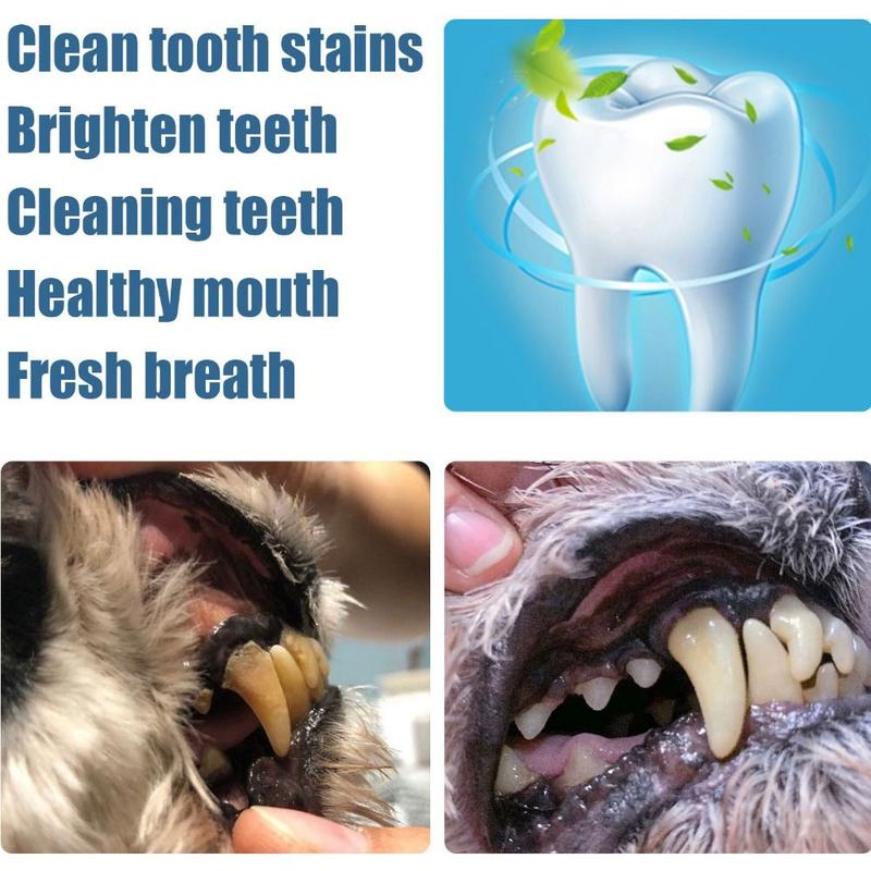 Product Introduction of 2pcs/set Portable 3ml Cats Tartar Remover Transparent Plastic Pet Teeth Brightening Pen Natural Plants Pen Shape Dog Teeth Whitening Pen Pet Oral Care 10