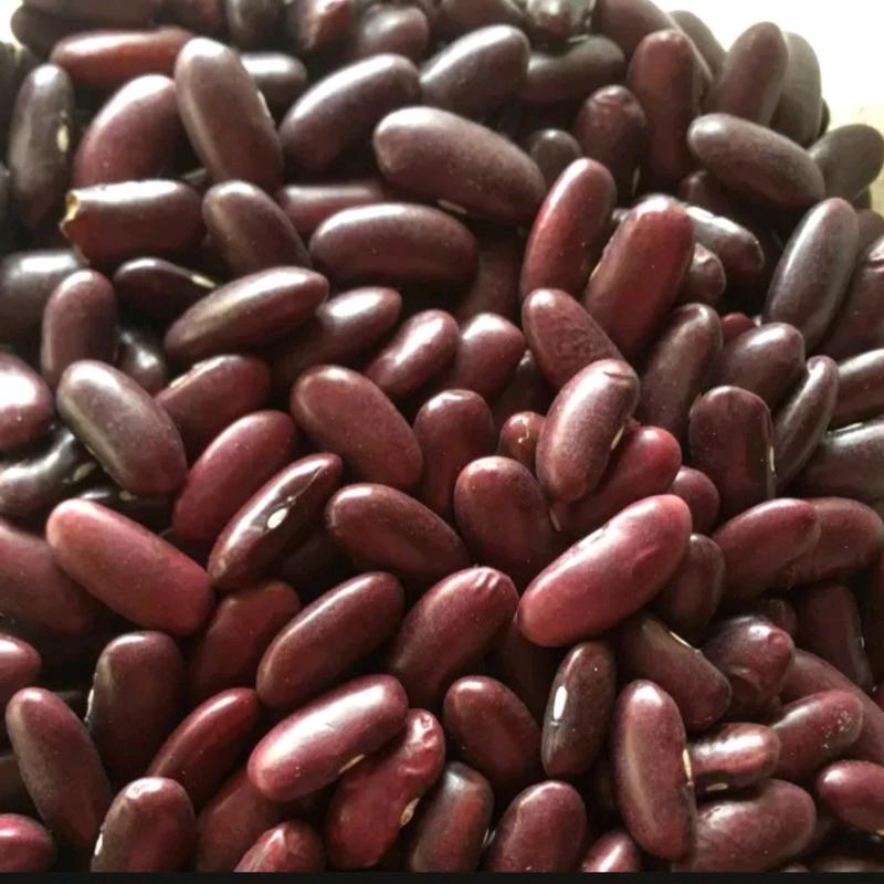 200g đậu đỏ hạt to, đậu tây, đậu cove tơi bở, dùng nấu chè, hầm gà,nấu chè ,bột ngũ cốc,làm bánh....