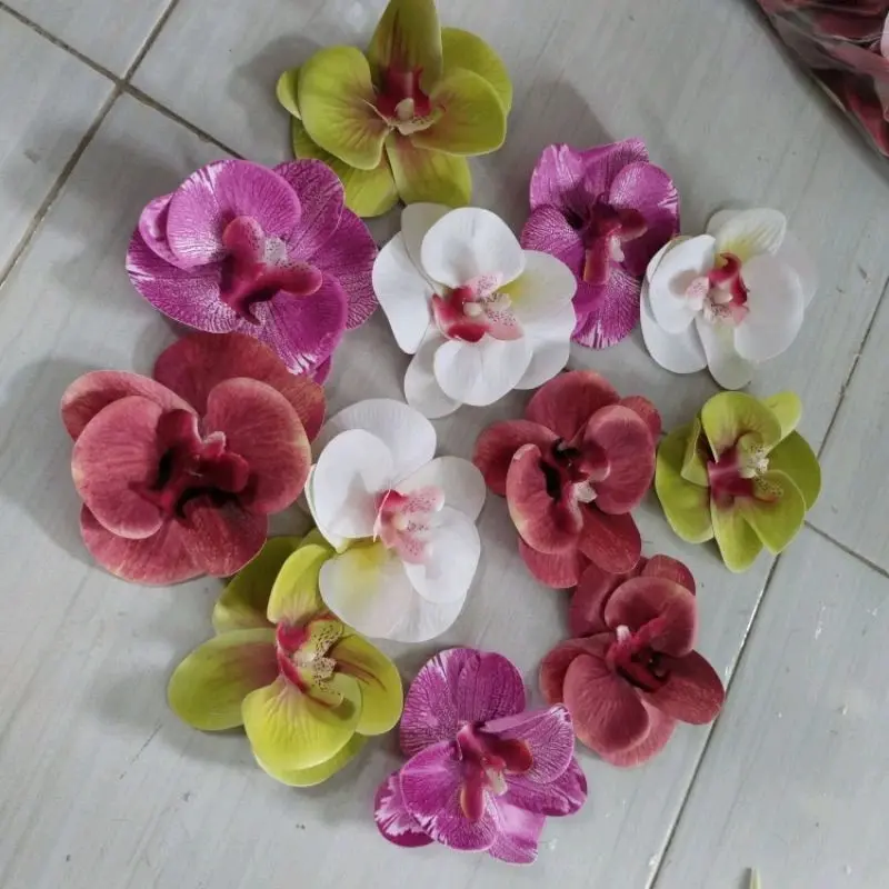 anggrek latex harga per pcs