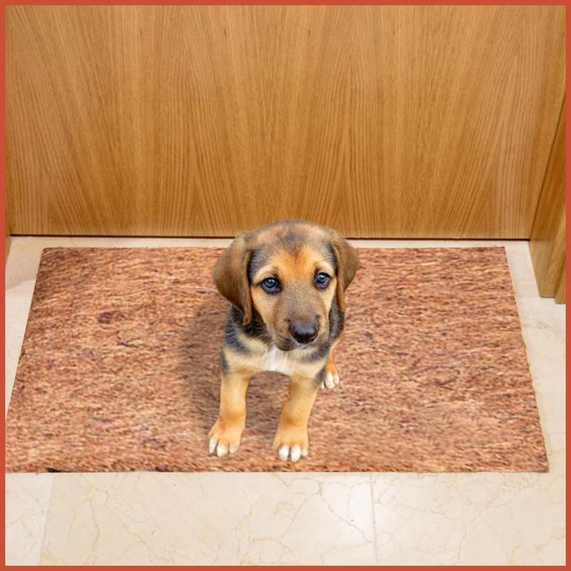 Product Introduction of Coconut Mat Coco Liner Roll Reptile Carpet Natural Coconut Fiber Reptile Bedding Supplies Insulation Flowerpot cingph 4