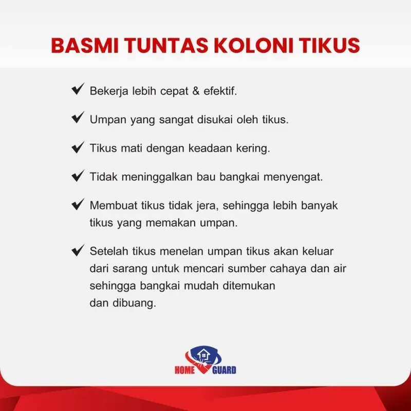 RATS KILLER 200gr Racun Tikus Mati Kering, Tidak Meninggalkan Bau 4