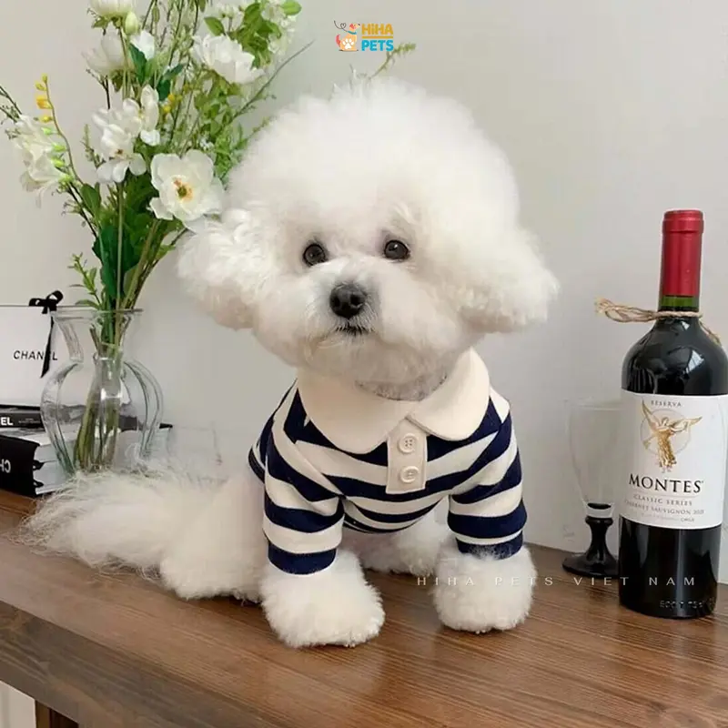 Áo Thun Sọc Cổ Thỏ Cotton Dễ Thương Cho Chó Mèo Mặc Quần Áo Cho Thú Cưng Cao Cấp Hàn Quốc Hiha Pets. 4