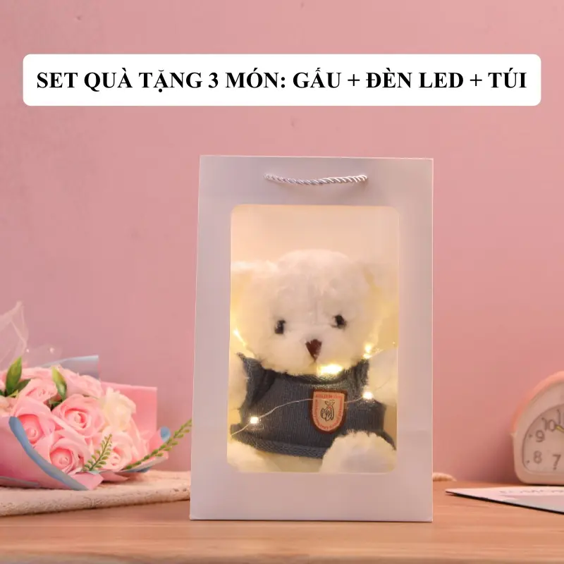 Set túi quà tặng gấu nhồi bông dễ thương, xinh xắn kèm túi xách, đèn, quà tặng cho các dịp đặc biệt GA03